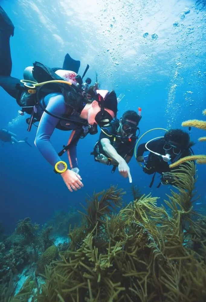 Advanced Open Water
