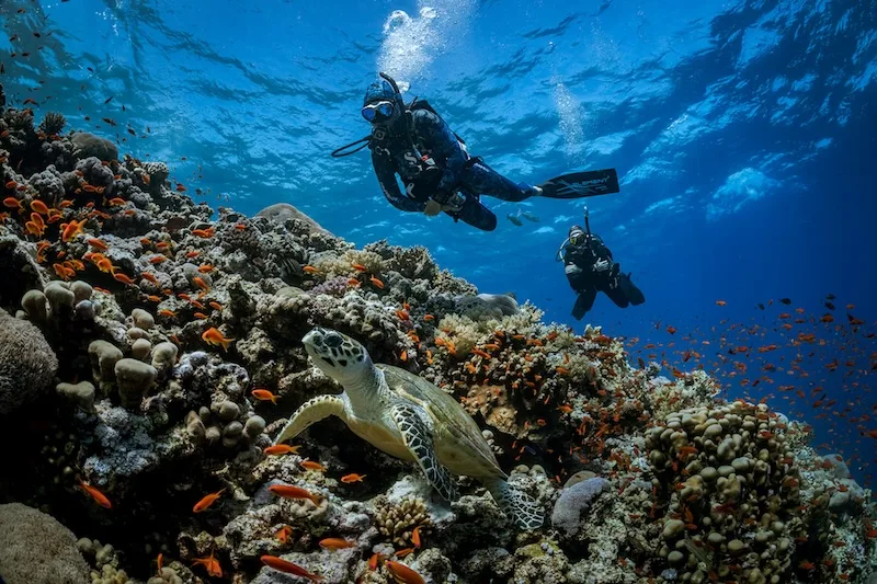 Divemaster