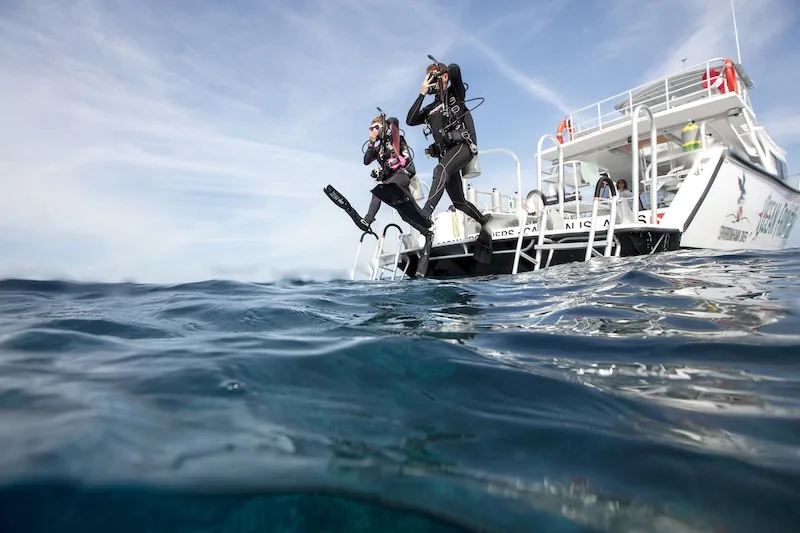 What's included — Scuba Refresh