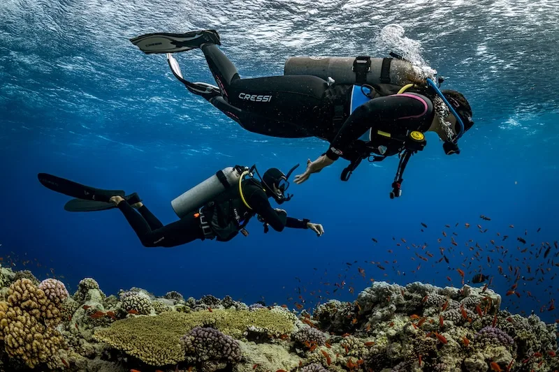 Fun Dives