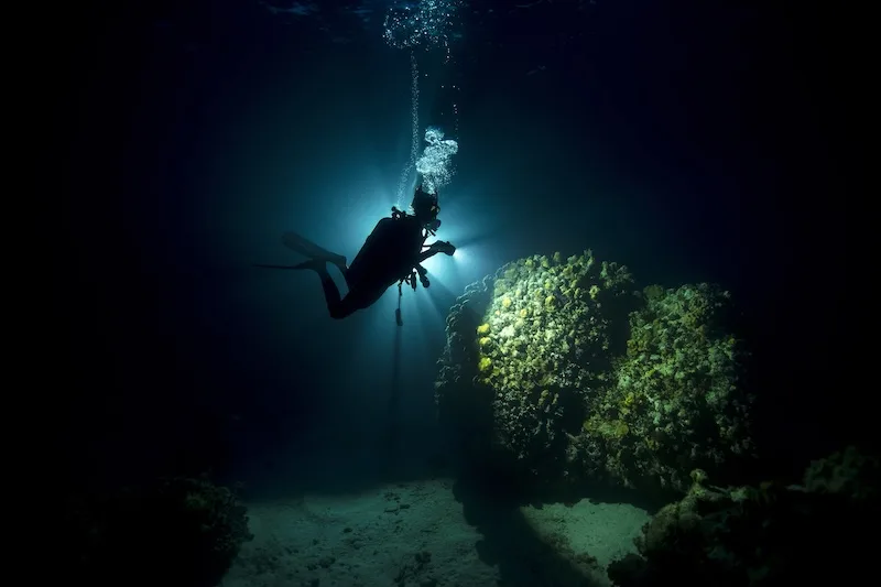 How the dive unfolds — Night Dive