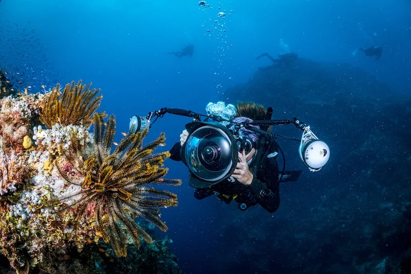 Digital Underwater Photographer